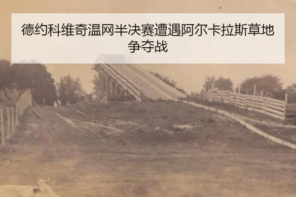 de-yue-ke-wei-qi-wen-wang-ban-jue-sai-zao-yu-a-er-ka-la-si-cao-di-zheng-duo-zhan-2-929.jpg