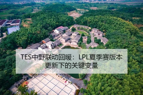 TES中野联动回暖：LPL夏季赛版本更新下的关键变量
