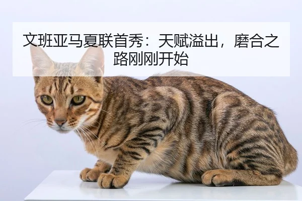 文班亚马夏联首秀：天赋溢出，磨合之路刚刚开始