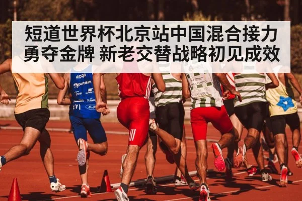 短道世界杯北京站中国混合接力勇夺金牌 新老交替战略初见成效